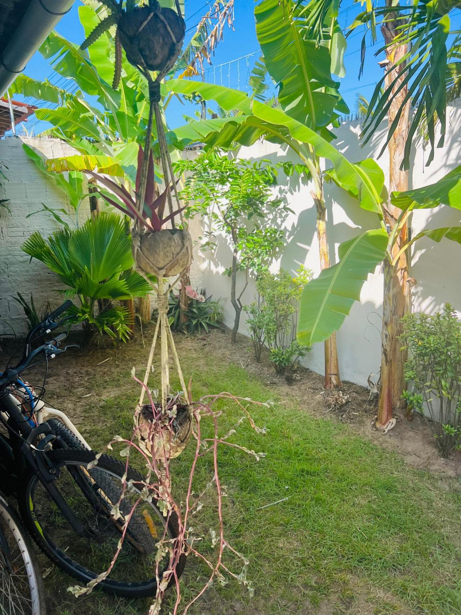 Kuki'S Hostel Praia de Pipa ภายนอก รูปภาพ